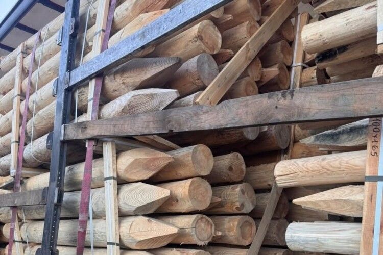 Недоброчесний продавець дерева уклав мирову угоду з Волинською митницею 