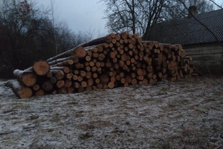 На Волині вилучили незаконну деревину на 300 тисяч гривень (Фото)