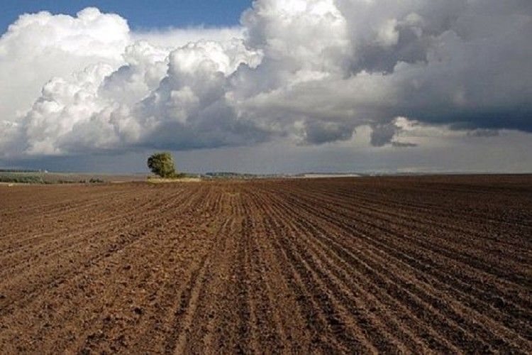 Верховна Рада продовжила мораторій на купівлю-продаж земель сільгосппризначення 