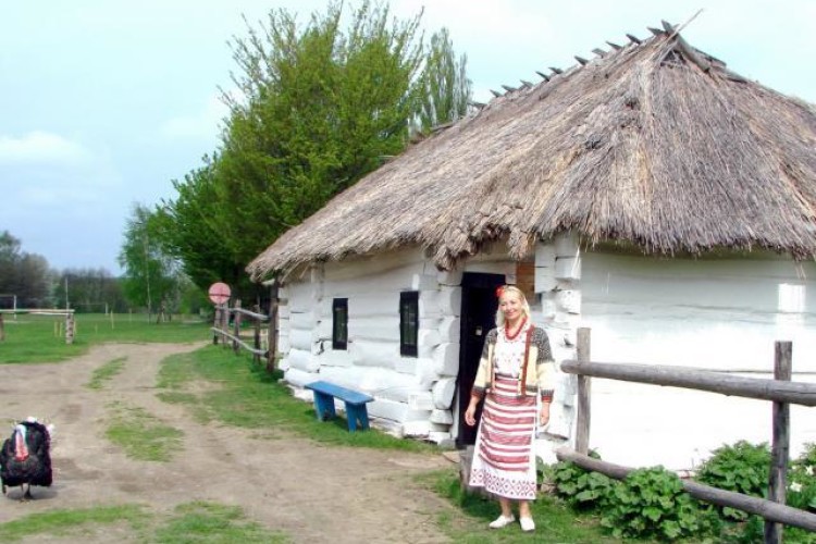 Для музею-скансена просять 590 тисяч гривень