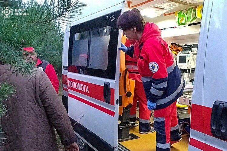 У лісах на Волині шукали зниклих грибників