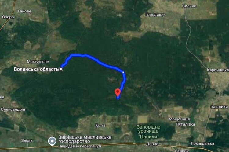 Тендер на понад мільйон гривень на щебінь: у волинському заказнику з'явиться лісова дорога