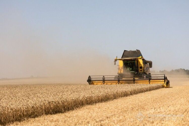 Цьогорічна врожайність зерна на Волині перевищує середній показник по Україні