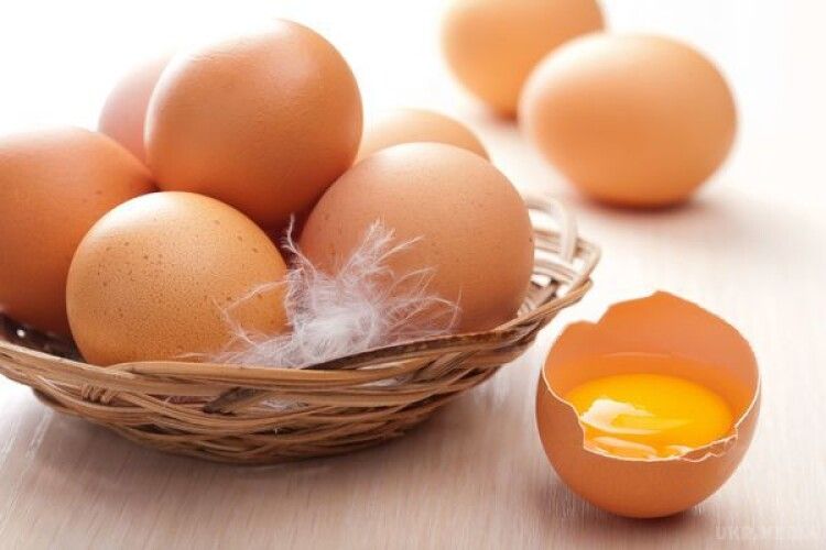 Протягом пів року українські кури знесли 8,6 мілярда яєць
