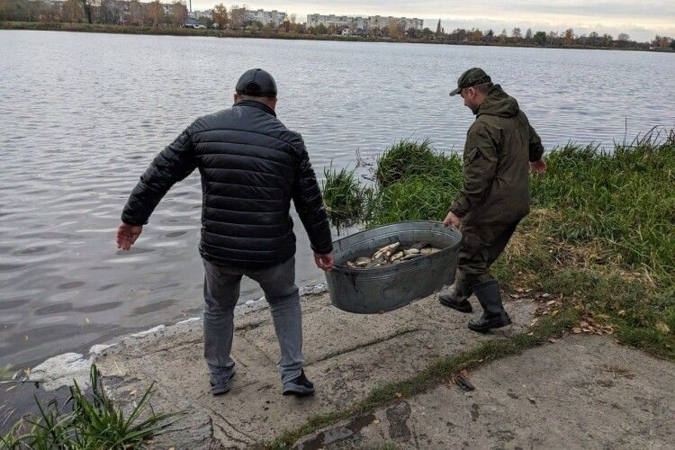 У водосховище на Волині випустили майже пів тонни риби