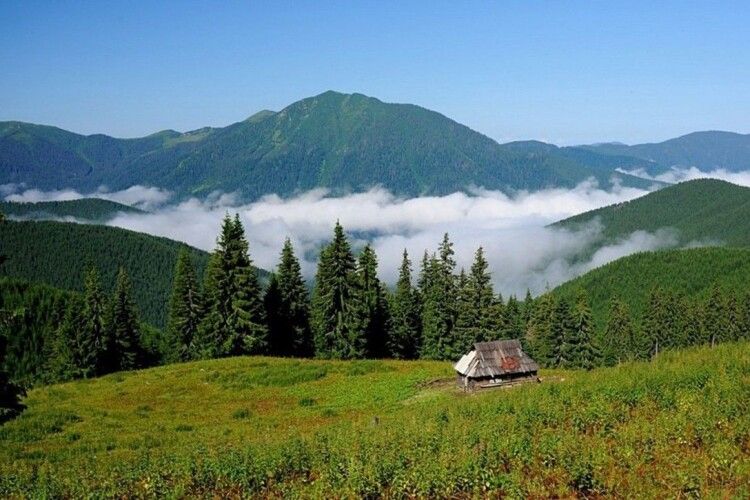 Знайшли безвісті зниклого у Карпатах волинянина