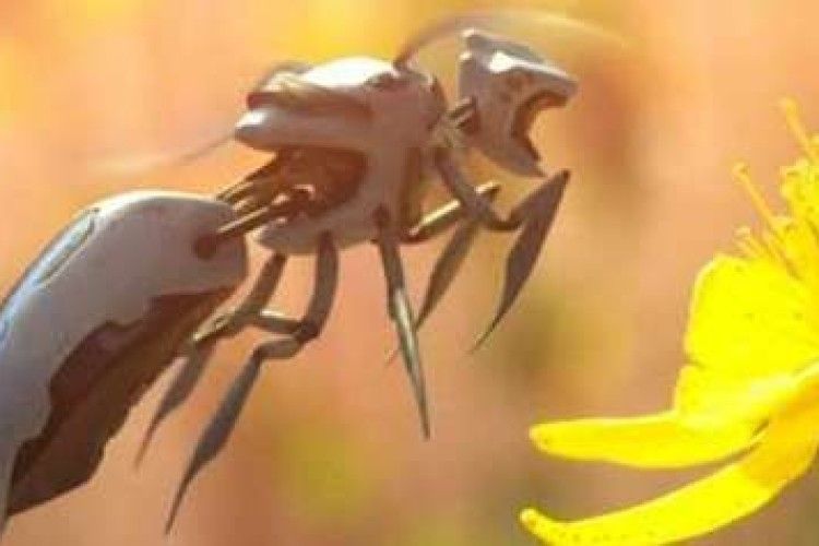 Замість бджілок – маленькі роботи?