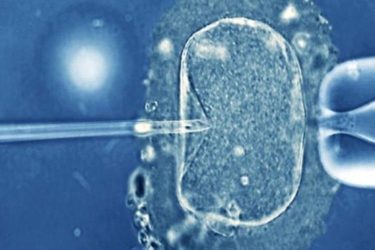 У Китаї дитина народилася через чотири роки після смерті батьків