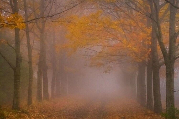 Якою буде погода на Волині