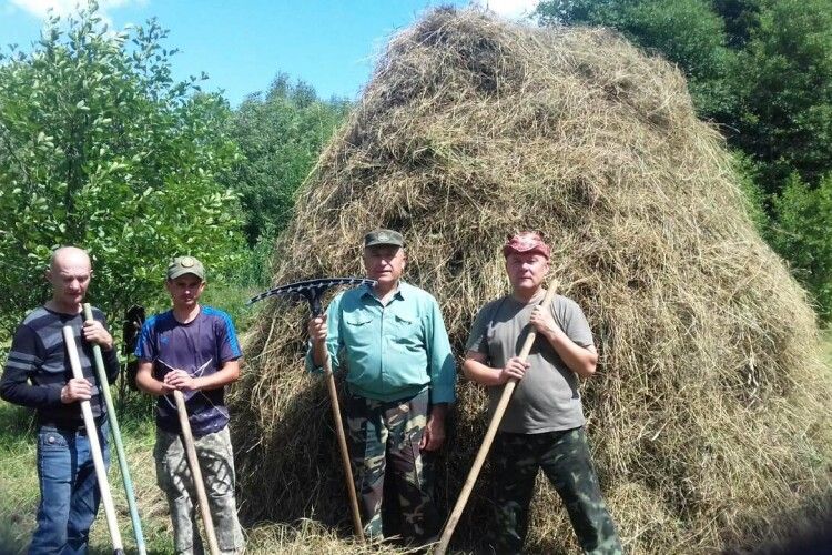 У Цуманській пущі косили сіно, аби зубри мали що їсти взимку (фото)