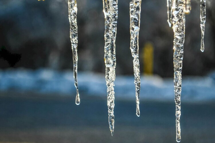 У селі на Волині зафіксували яскравий прихід весни (Відео)