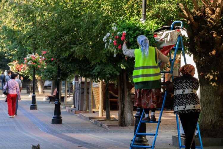 Мер Луцька похвалився доглянутим містом (Фото)