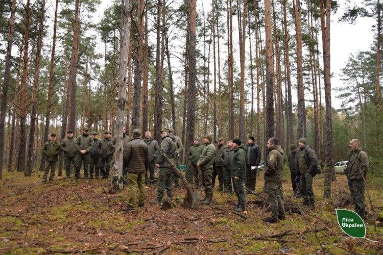 На Волині відбулася нарада лісівників