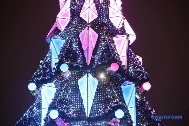 В Україні знайшли найвищу новорічну ялинку