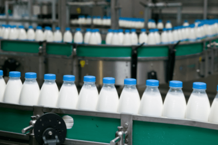 Україна скоротила виробництво молока майже на 350 тисяч тонн