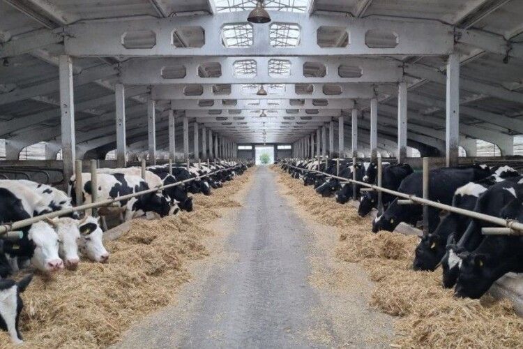 Волинське фермерське господарство отримало державну компенсацію за будівництво тваринницьких ферм