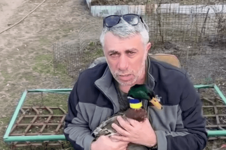 Лікар Комаровський показав українську бойову етнічну качку (Відео)