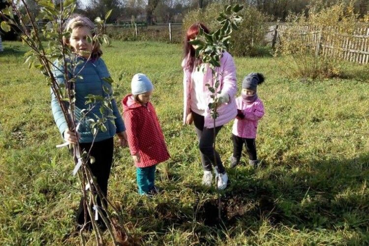 У 20 селах Любомльщини висадили молоді садки