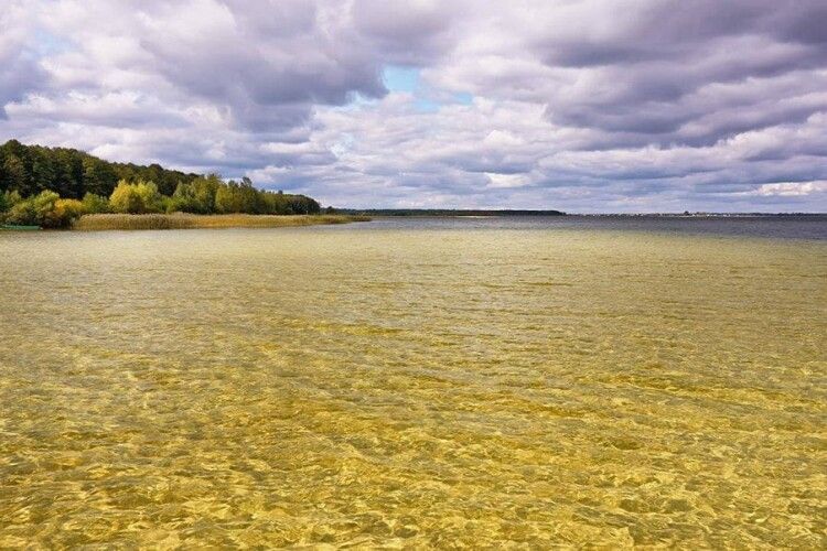 Літні дощі зробили озеро Світязь повноводним – науковці