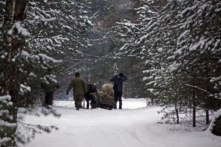 У засніженій Цуманській пущі шукали зимові квартири зубрів (фото)