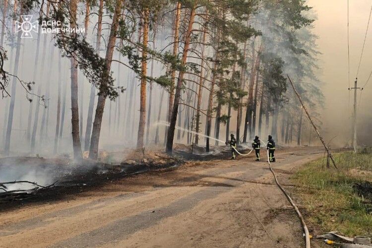 Як волинські рятувальники розміновують палаючі ліси на Донеччині (Фото)