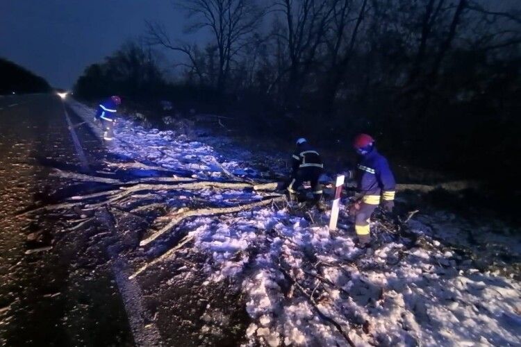 На Волині – сильний вітер: в Луцькому районі звалило дерево на дорогу