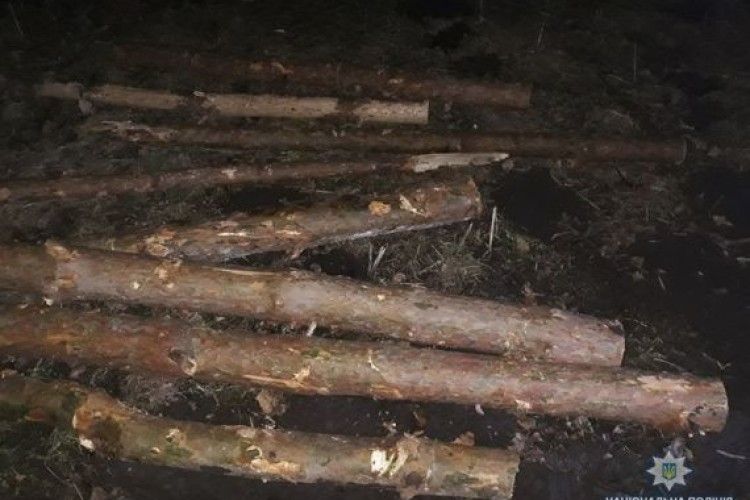 Одні ріжуть, другі крадуть: на Волині вночі поцупили готову деревину
