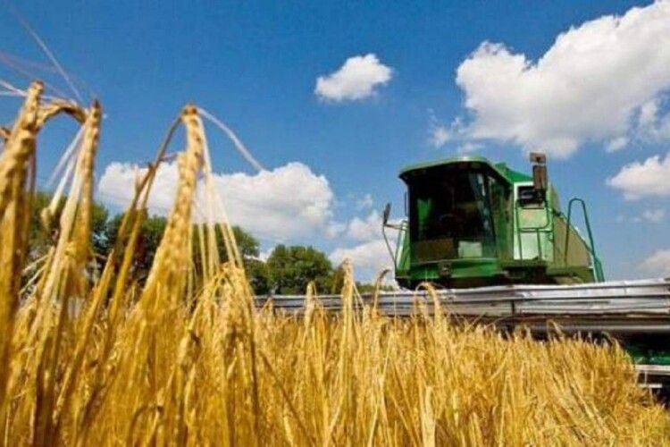 Агропродукція Волині: «колгоспи» виробляють все більше, а «дядьки» - все менше