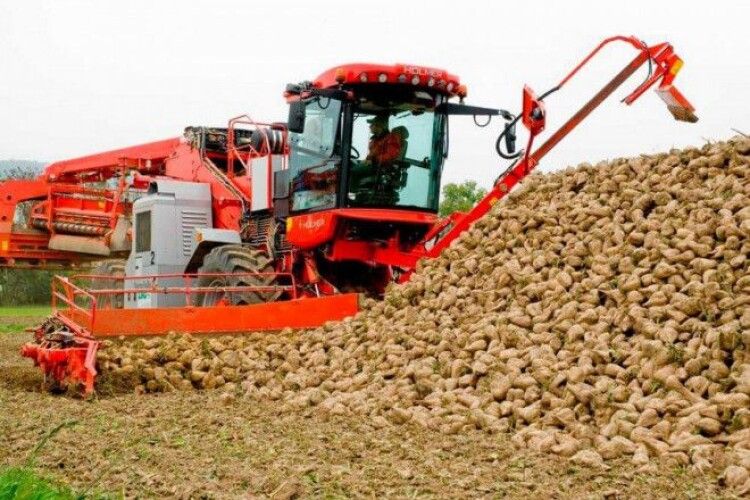 Осінньо-польові роботи на Волині у розпалі: повідомили, скільки урожаю вже зібрали