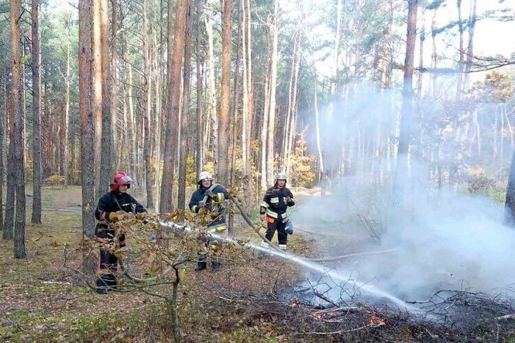 На Волинському Поліссі гасили «пожежу»