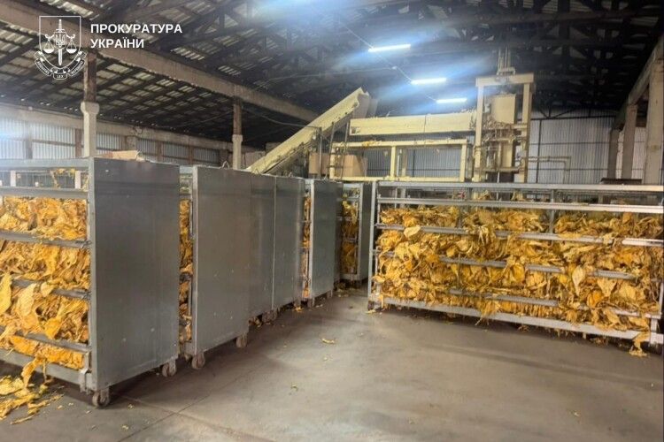На Волині викрили нелегальну плантацію тютюну