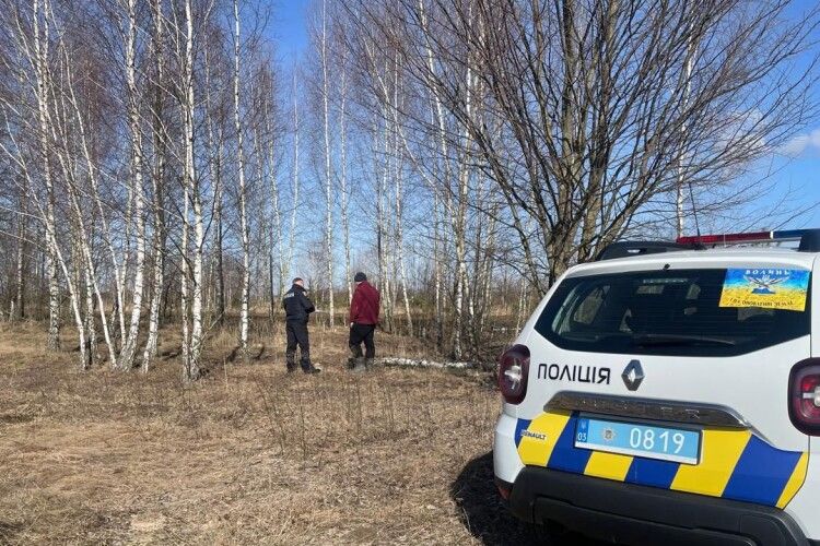 У селі на Волині викрили незаконну порубку берези та осики 