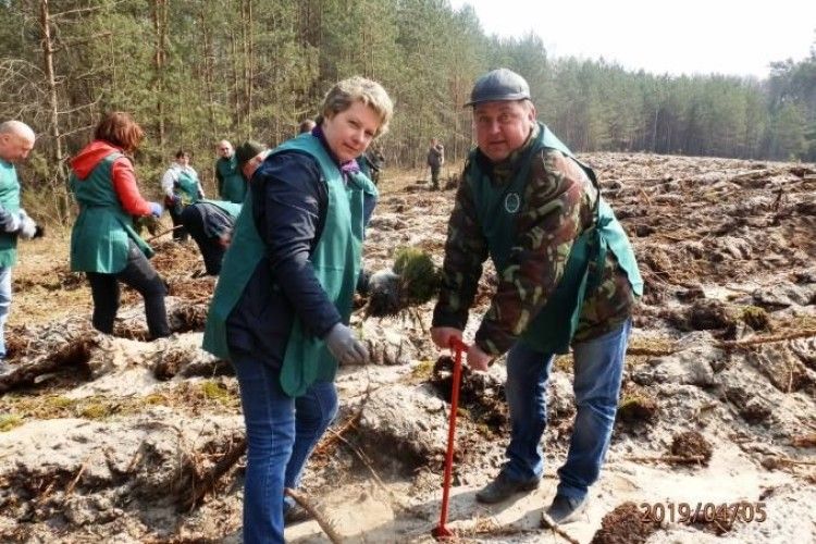 На Любешівщині ліс відновлювали усім старостинським округом