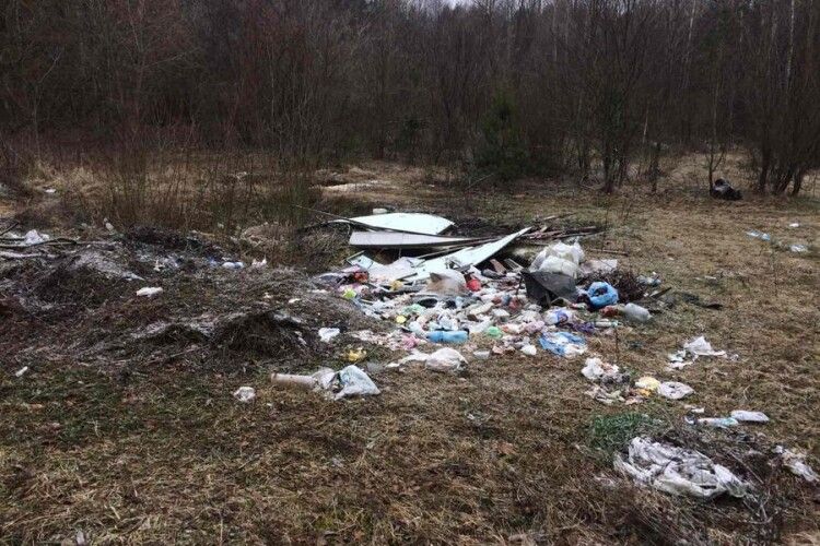 У Старовижівській громаді визначили найкращі та найгірші смітники