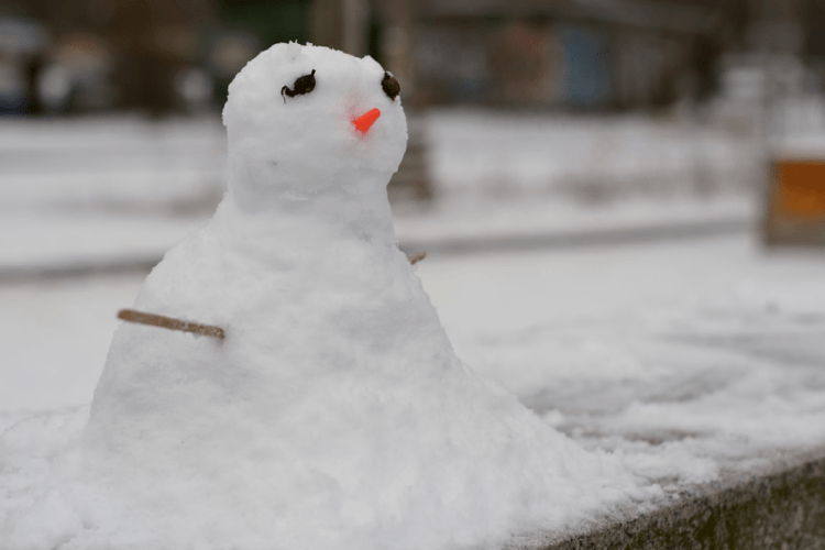 На Україну чекають сильні морози, але погода «зіпсує» новорічні свята: синоптики дали прогноз на зиму