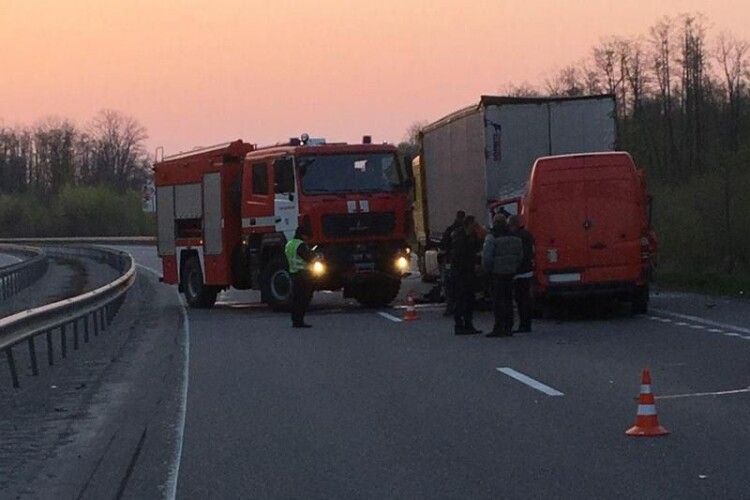 Через лося – подвійна ДТП зі смертельними наслідками: тварина несподівано вискочила під колеса лучанина 