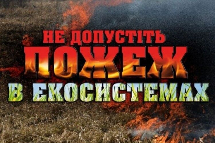 На Горохівщині у вогні загинув пенсіонер