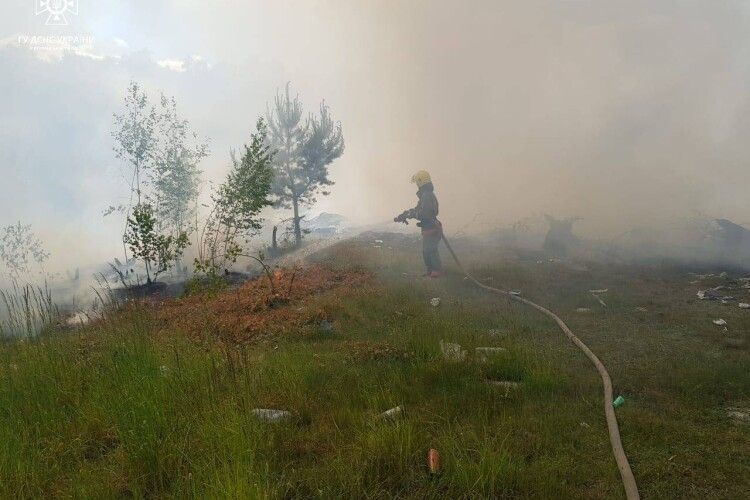 На Волині лише учора 6 разів горіли екосистеми
