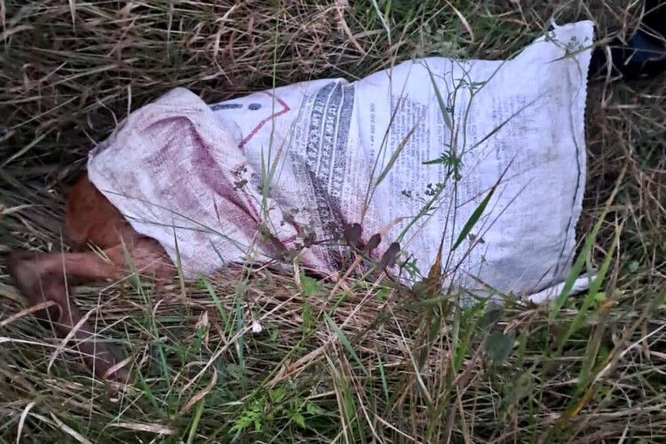 На Волині лісова охорона зловила браконьєрів