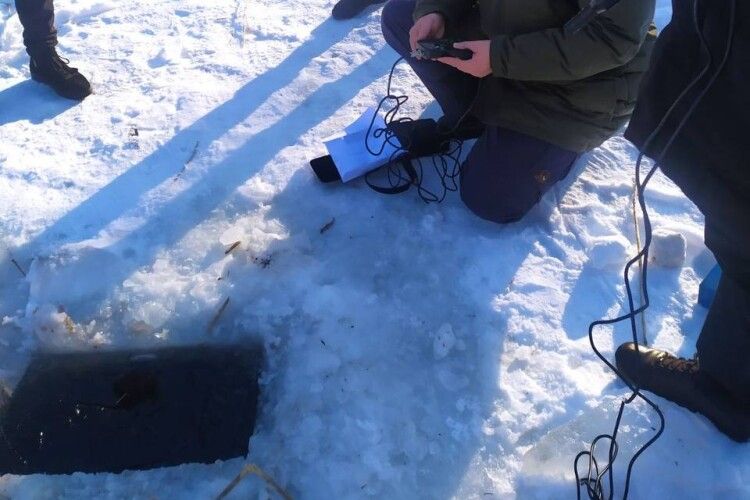 Як у Луцьку рятують рибу від зимової задухи