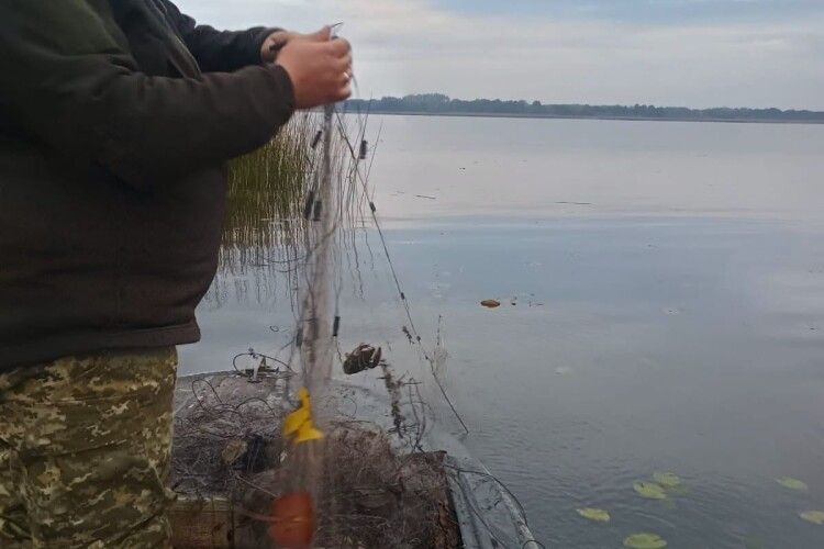 Водойми Волині очистили від ятерів та сіток