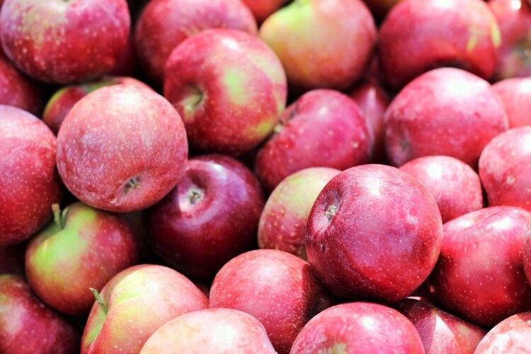 Ціни на яблука цьогоріч б’ють рекорди