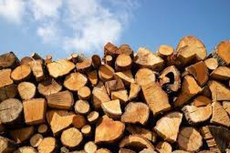 Зручно: волиняни можуть купити дрова онлайн