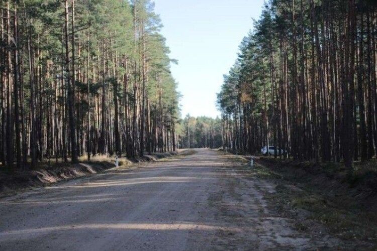 На Волині збудували лісову дорогу, щоб лісовози не зруйнували автошлях до місць захоронення польських вояків армії Пілсудського (Фото)