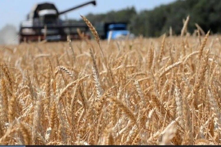 «Доступні кредити 5-7-9»: на Волині ними скористались 243 агропідприємства