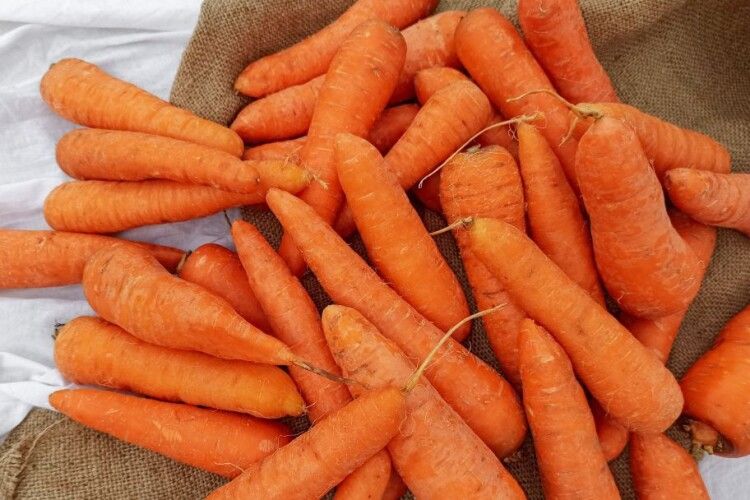 Ціни на моркву б'ють рекорди зі стрибків у висоту