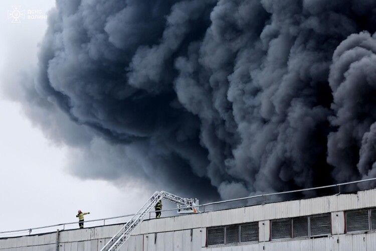 У Луцьку приборкали вогонь на площі понад 20 тисяч «квадратів» (Фото)