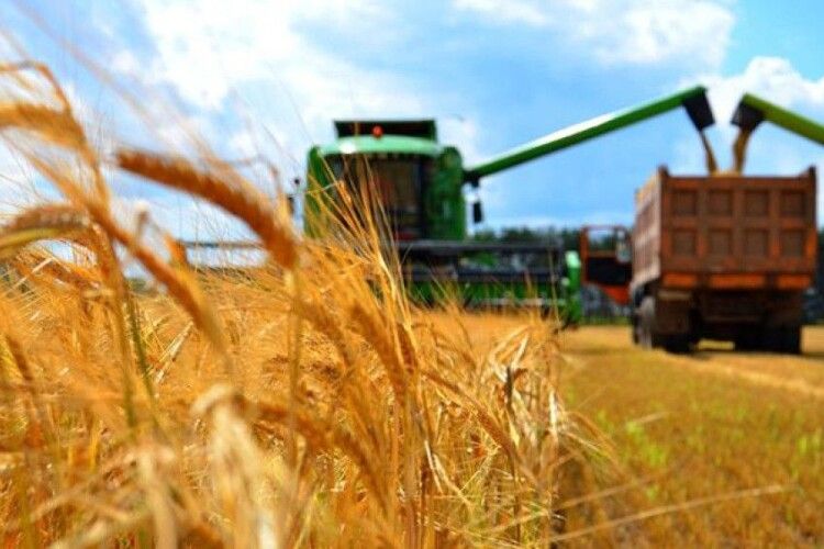 На Волині виробництво аграрної продукції впало на 10 відсотків