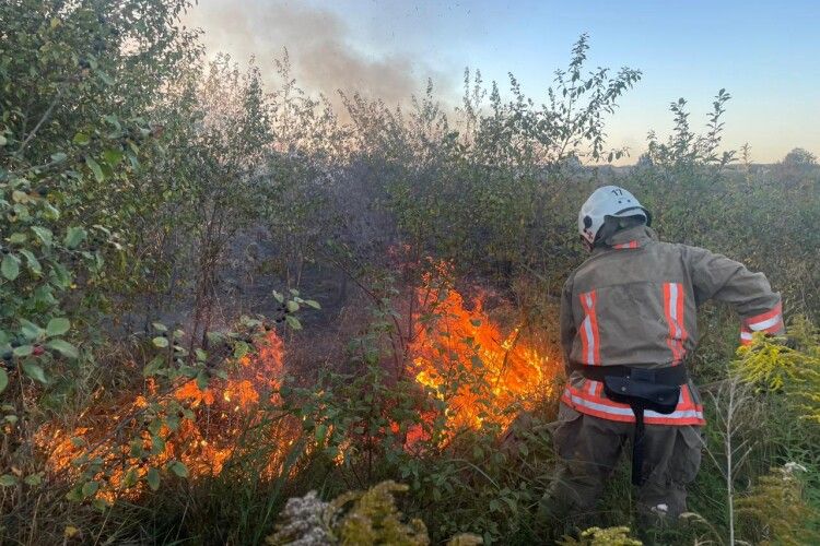 На Волині горіли літня кухня, сміття та суха трава