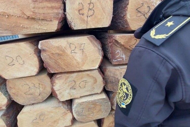 Житомирянин потайки віз через пункт пропуску на Волині близько 13 кубометрів деревини